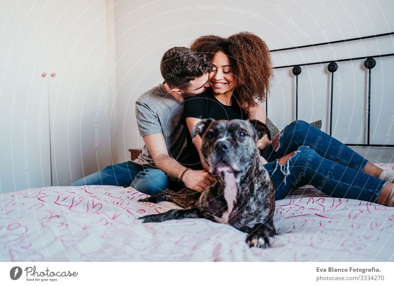 Glückliches, verliebtes Paar zu Hause. Afroamerikanische Frau, kaukasischer Mann und ihr Pitbull-Hund zusammen. Familienkonzept Liebe Afroamerikaner urwüchsig