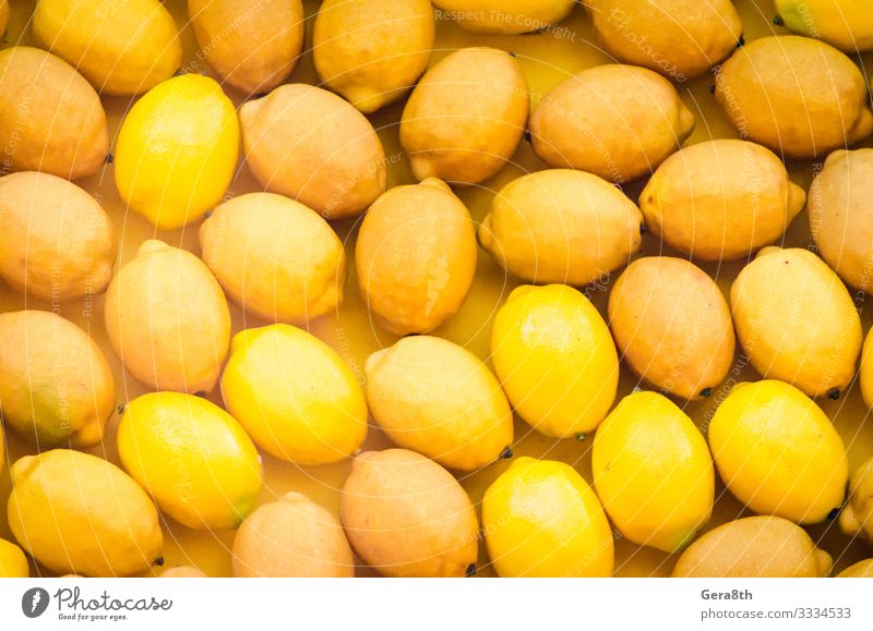 Fruchtmuster reife gelbe Zitronen natürlich saftig Hintergrund Zitrusfrüchte Lebensmittel Ernte Gesundheit zitronenfarbener Hintergrund Zitronenmuster viele