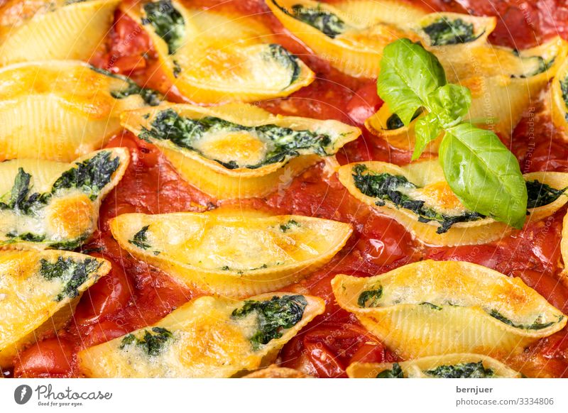 Conchiglini Käse Gemüse Kräuter & Gewürze Abendessen Vegetarische Ernährung Muschel frisch lecker grün rot weiß conchiglione Pasta gefüllt italienisch Kochen