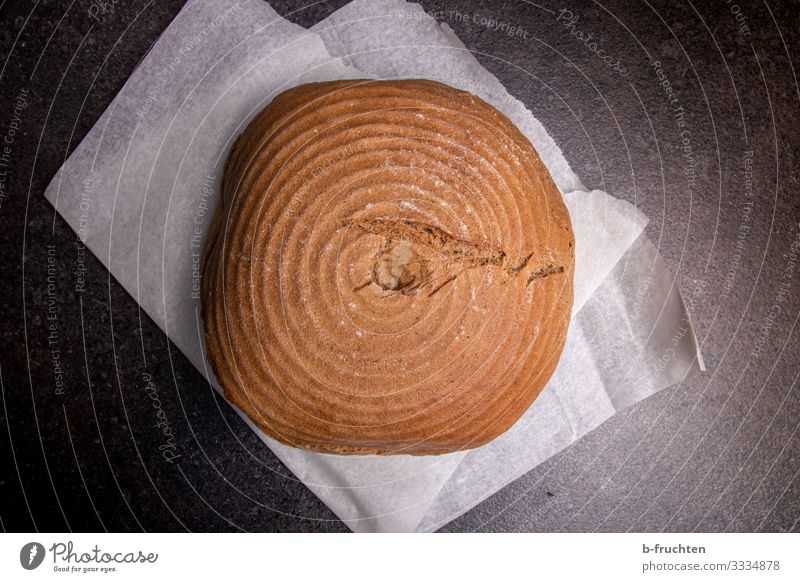 Holzofenbrot Lebensmittel Getreide Brot Ernährung Bioprodukte Gesunde Ernährung Arbeitsplatz Küche Essen genießen frisch Gesundheit brotlaib rund Bäckerei