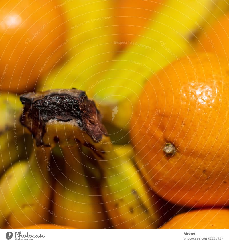 Obstsalat Anfangsstadium Frucht Orange Banane Mandarine Ernährung Bioprodukte Vegetarische Ernährung Diät Fasten Duft Essen genießen frisch Gesundheit lecker