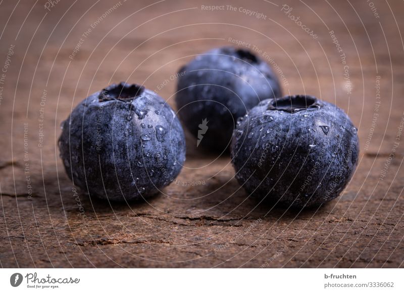 Heidelbeeren Lebensmittel Frucht Bioprodukte Vegetarische Ernährung Lifestyle kaufen Gesundheit Gesunde Ernährung Essen genießen frisch blau Blaubeeren Beeren