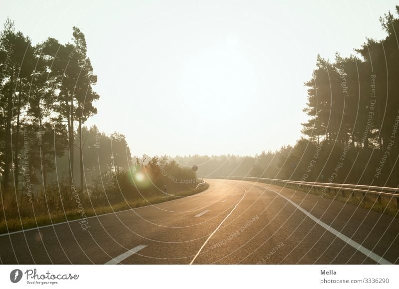 Long way home - Leere Straße Straßenverkehr Autobahn Autobahnauffahrt Verkehr leer Menschenleer Sonnenaufgang Sonnenlicht Gegenlicht Kurve Infrastruktur