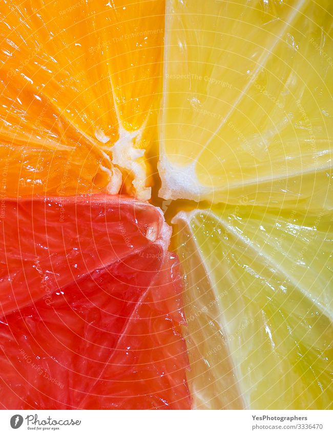 Zitrusfrüchte-Sektionsmischung. Einzelheiten zu den Sommerfrüchten. Frucht Orange frisch mehrfarbig obere Ansicht heiter Zitrusfrüchte-Mischung farbenfroh