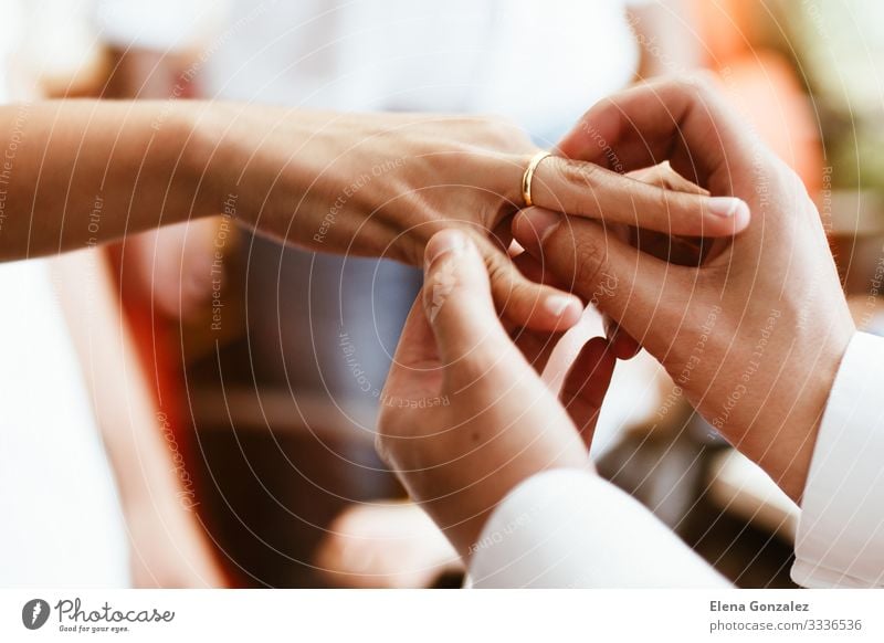 Mann steckt der Frau den Ehering an den Finger. Feste & Feiern Hochzeit Erwachsene Hand Liebe Zusammensein Gefühle Vertrauen Partnerschaft Ewigkeit Zukunft