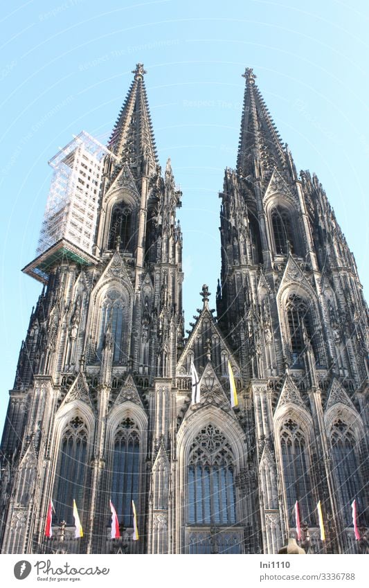 Kölner Dom mit Käfig Baugerüst Städtereise Stadtzentrum Kirche Sehenswürdigkeit Denkmal Stein Stahl außergewöhnlich Bekanntheit eckig fantastisch gigantisch