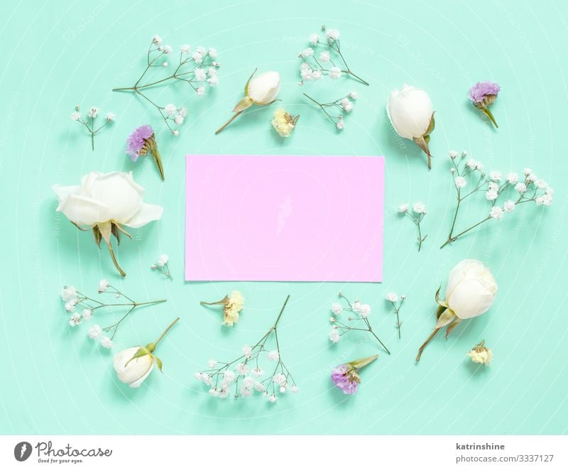 Blumen und rosa Papier auf hellgrünem Hintergrund Dekoration & Verzierung Hochzeit Frau Erwachsene Mutter Musiknoten Rose oben weiß Kreativität romantisch