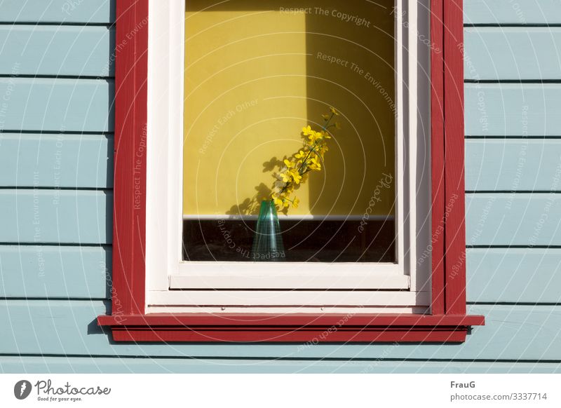 Frühling im Fenster Häusliches Leben Dekoration & Verzierung Blume Blüte Fassade Vase Rollo Holz mehrfarbig gelb Frühlingsgefühle Schatten Farbfoto