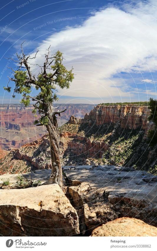 Grand Canyon schön Tourismus Ausflug Abenteuer Sommer Sonne Natur Landschaft Sand Luft Wolken Wetter Felsen Schlucht Wüste Sehenswürdigkeit Wahrzeichen Stein