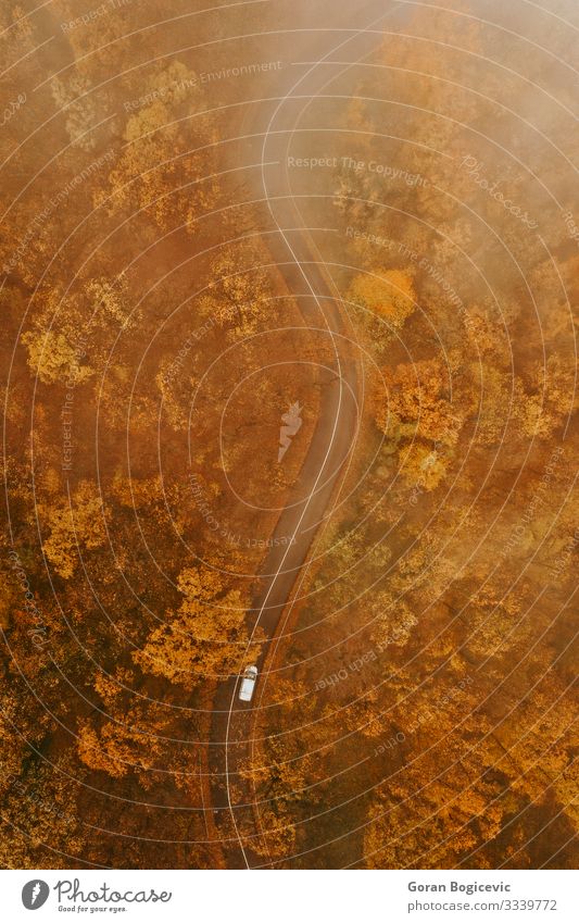 Luftaufnahme eines dichten Waldes im Herbst mit durchgeschnittener Straße schön Ferien & Urlaub & Reisen Ausflug Berge u. Gebirge Natur Landschaft Baum Blatt