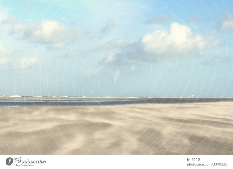 Sandverwehung am Strand auf Juist bei schönem Wetter mit Wolken und blauem Himmel Natur Landschaft Erde Wasser Horizont Herbst Schönes Wetter Küste Nordsee grau