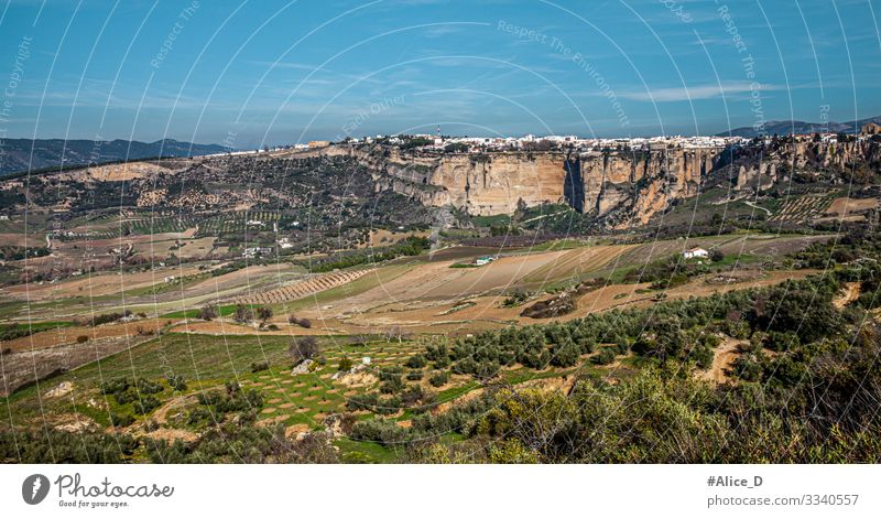 Panoramablick auf Ronda Natur und Stadtlandschaft Ferien & Urlaub & Reisen Tourismus Sightseeing Städtereise wandern Landschaft Wiese Feld Hügel Felsen Spanien