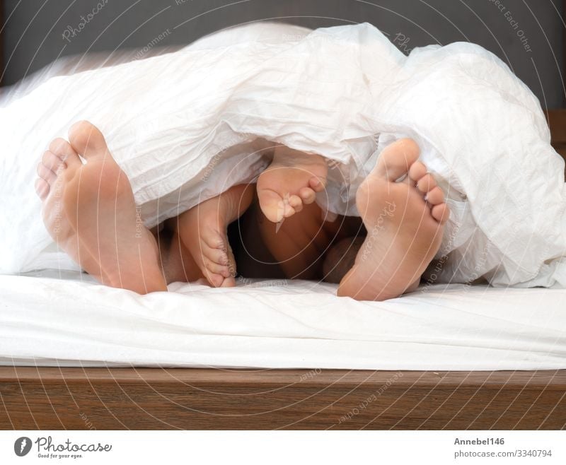 die Füße eines Paares unter der weißen Bettdecke im Bett dicht zusammenrücken, Körper Erholung Freizeit & Hobby Schlafzimmer Mensch Frau Erwachsene