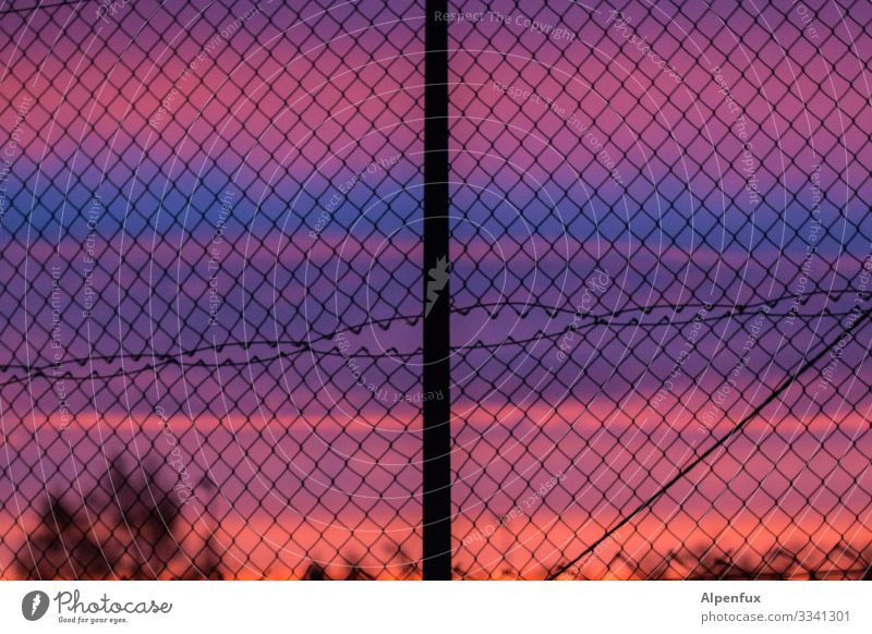 Morgenlatte Zaun Sonnenaufgang Sonnenaufgang - Morgendämmerung Himmel Menschenleer Absperrung Wolken Außenaufnahme Dämmerung Sonnenuntergang Farbfoto Silhouette