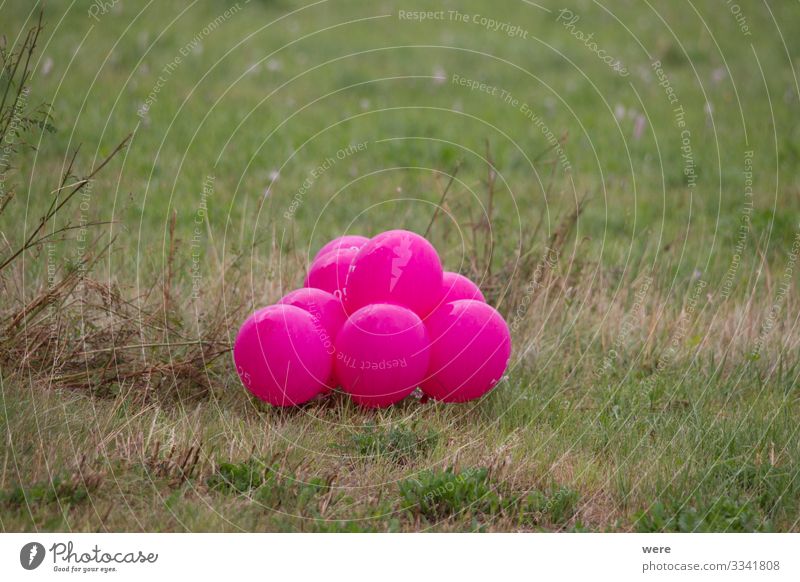 pink colored balloons in a meadow Natur Dekoration & Verzierung Luftballon rosa Celebration Meadow landscape copy space decoration gas balloon helium balloon