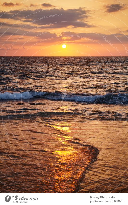 Goldener Sonnenuntergang über dem Meer. Ferien & Urlaub & Reisen Tourismus Ausflug Ferne Freiheit Kreuzfahrt Sommer Sommerurlaub Strand Insel Wellen Natur