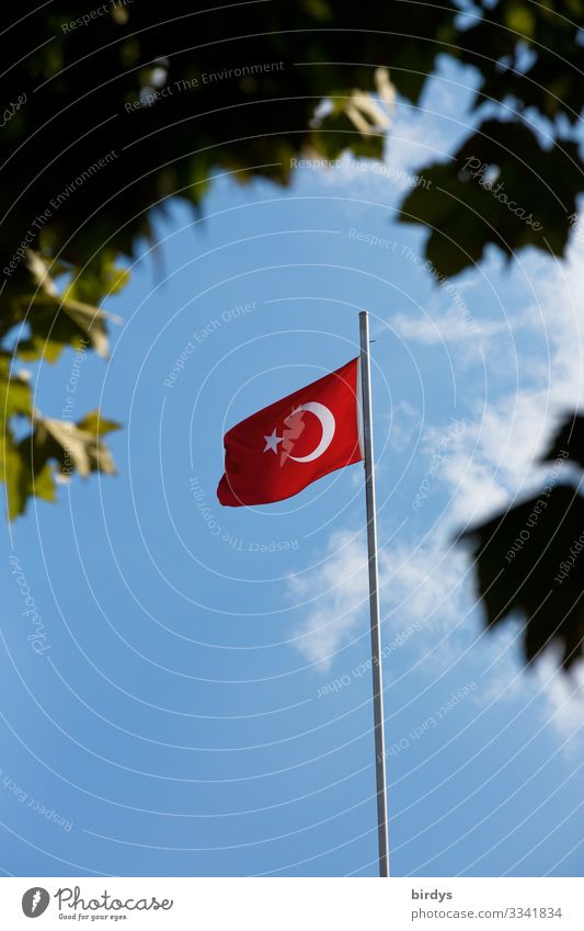 türkische Flagge Licht und Schatten Schönes Wetter Wind Ast Blätterdach Türkei Fahne authentisch blau grau grün rot weiß selbstbewußt Macht gefährlich Stolz