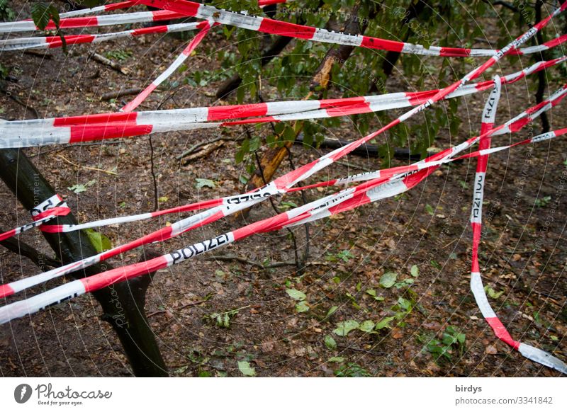 Tatort Klimawandel Wald Plastikband Kunststoff Zeichen Schriftzeichen Barriere Polizeiabsperrband authentisch rot weiß Macht Sicherheit Schutz uneinig