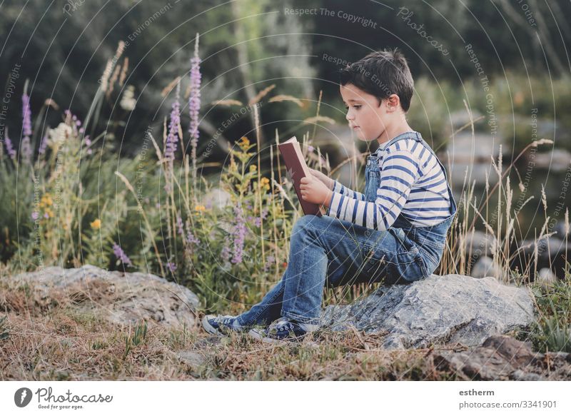 Kind sitzt und liest ein Buch auf dem Feld Lifestyle Freizeit & Hobby lesen Sommer lernen Mensch maskulin Junge Kindheit 1 8-13 Jahre Natur Wald entdecken
