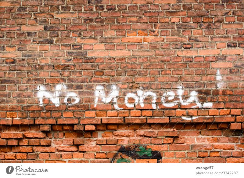 Ohne Moos nix los Fabrik Mauer Wand Stein Schriftzeichen Stadt braun rot weiß Backsteinwand Graffiti Geld Querformat Farbfoto Gedeckte Farben Außenaufnahme