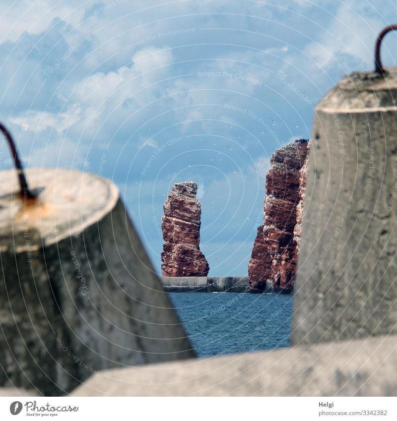 durch Wellenbrecher aus Beton schaut man auf die "Lange Anna" und die roten Felsen von Helgoland Ferien & Urlaub & Reisen Tourismus Meer Umwelt Natur Landschaft