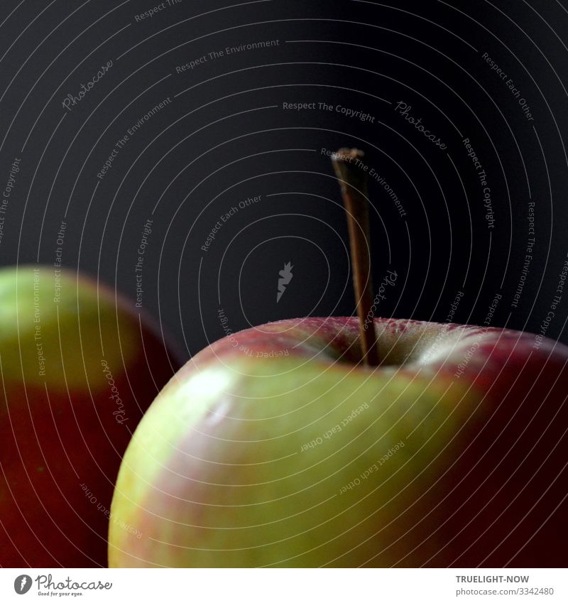 Apfel am Stiel im Quadrat (Detail) Lebensmittel Frucht Ernährung Bioprodukte Vegetarische Ernährung Diät Fasten Gesundheit Gesunde Ernährung Wellness harmonisch