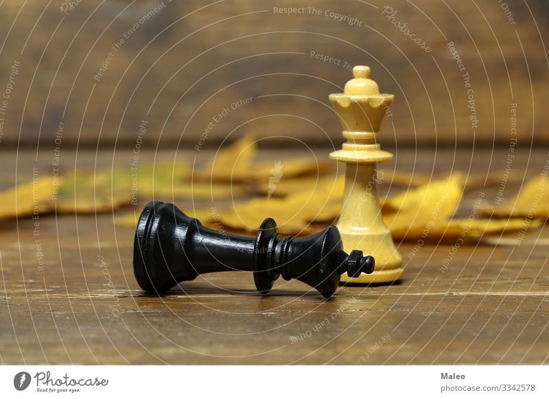 Schachfiguren Schachbrett ritter schwarz weiß Sportveranstaltung Konkurrenz König Landwirt Niederlage Spielen planen Erfolg Holzbrett Sieg satz Schlacht