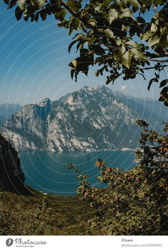 Gardasee gardasee Italien See Wasser Berge u. Gebirge mediteran Himmel Seeufer Farbfoto Außenaufnahme Natur Ferien & Urlaub & Reisen gebüsch landschaft