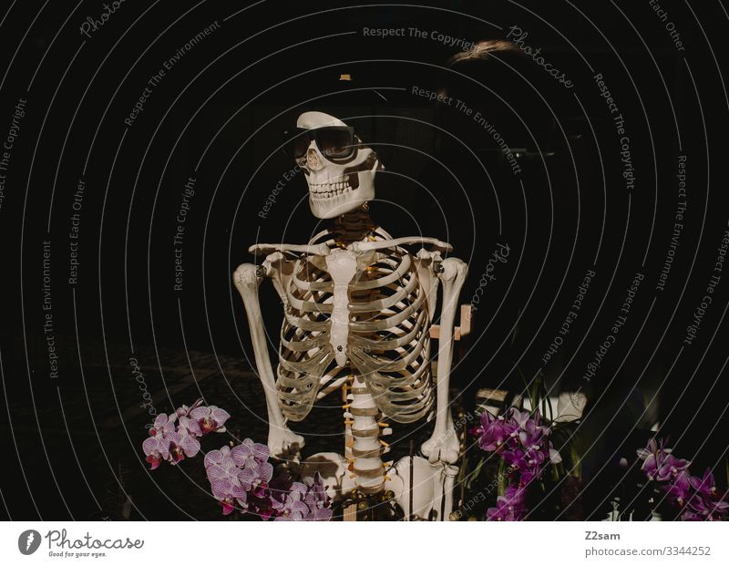 Der Tot im Blumenfeld Körper 1 Mensch Mode Sonnenbrille Mütze Lächeln stehen gruselig Senior Surrealismus Mountainbike Skelett Schädel Tod Medikament Knochen