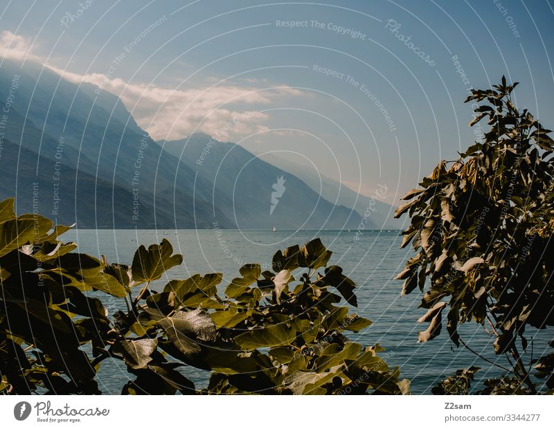 Gardasee von Riva aus gardasee Riva del Garda büsche bergsee alpen himmel blau Berge u. Gebirge wolken dunst sommer sonne wasser gewässer italien norditalien