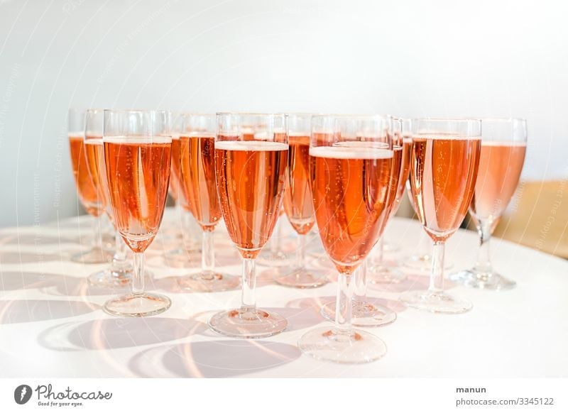 Prösterchen! Getränk Erfrischungsgetränk Alkohol Sekt Prosecco Champagner Longdrink Cocktail Sektglas Lifestyle Freude Gesundheit Krankheit Party Veranstaltung