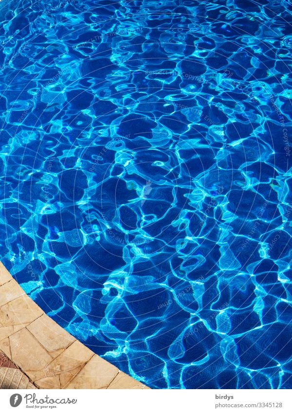 Wasser Lifestyle Stil schön Wellness Erholung Spa Schwimmbad Schwimmen & Baden Sommer Schönes Wetter glänzend ästhetisch authentisch außergewöhnlich Flüssigkeit