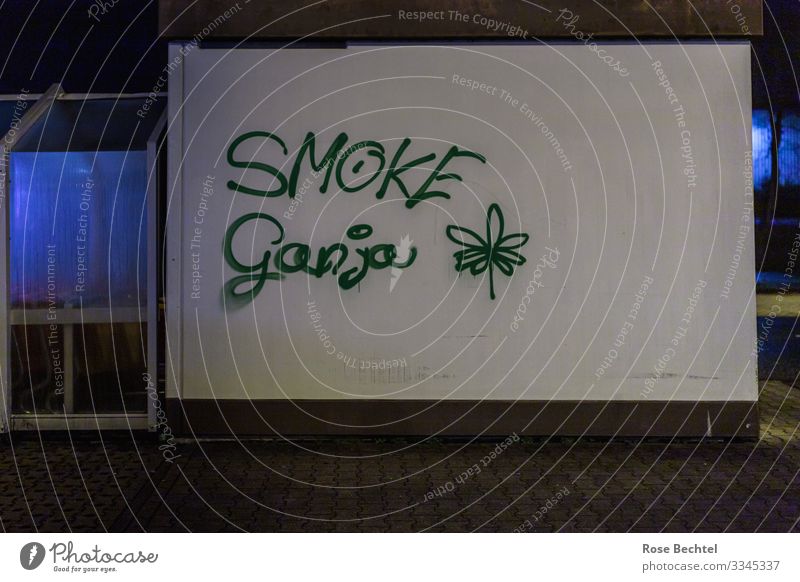 Smoke Ganja Rauschmittel Kunst Kultur Jugendkultur Subkultur Grafitti Bauwerk Gebäude Mauer Wand Graffiti Rauchen blau grün Gesellschaft (Soziologie)