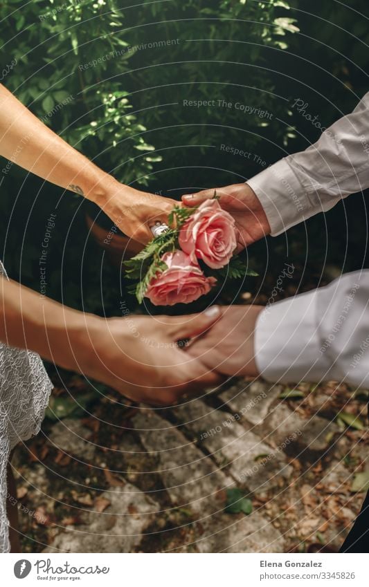 Neuvermählte mit verschränkten Händen. Selektiver Fokus auf den Strauß Hochzeit Frau Erwachsene Hand Finger Rose Blumenstrauß Liebe Zusammensein rosa Gefühle