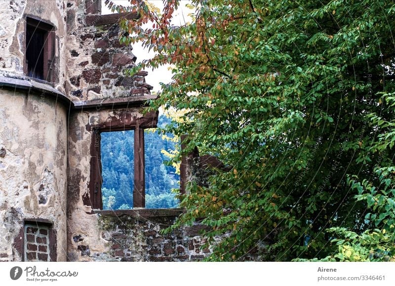 nichts dahinter Ruine blau grün violett Fenster kalt Attrappe kaputt bewachsen historisch Kloster Turm Zerstörung Verfall Traurigkeit trist Vergangenheit