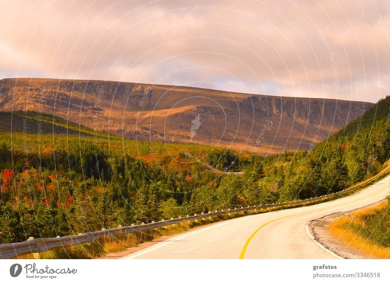 Road To Newfoundland Stil Ferien & Urlaub & Reisen Tourismus Ausflug Abenteuer Ferne Freiheit Berge u. Gebirge wandern Natur Landschaft Erde Wolken Herbst Wald