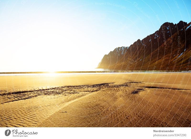 Sonnenaufgang am Strand von Senja Ferien & Urlaub & Reisen Abenteuer Ferne Freiheit Natur Landschaft Urelemente Sand Wasser Wolkenloser Himmel Sonnenuntergang