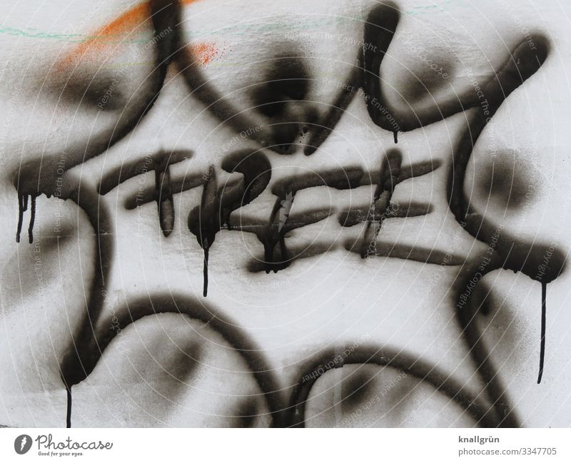 FREE Mauer Wand Graffiti Kommunizieren frei Stadt schwarz weiß Gefühle Freiheit Free Farbfoto Außenaufnahme Menschenleer Textfreiraum unten Tag