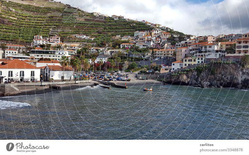 Madeira | Câmara de Lobos Portugal Camara de Lobos Fischerdorf Tourismus Küste Meer Atlantik Boote Fischerboote Churchill Bay Höhle der Mönchsrobben Cabo Girão