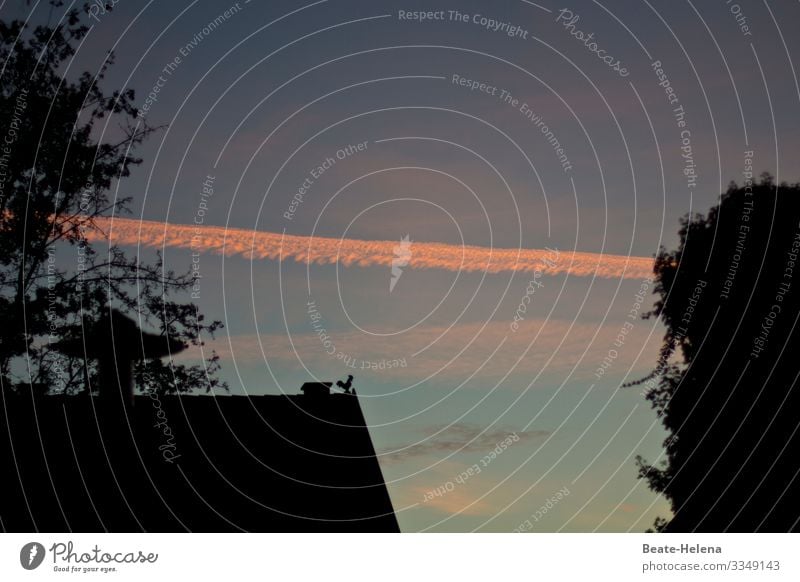 Naturidylle 1 Himmel Abendrot Wolken Bäume Haus Sonnenuntergang Dämmerung Licht Silhouette Giebel Abenddämmerung Schönes Wetter