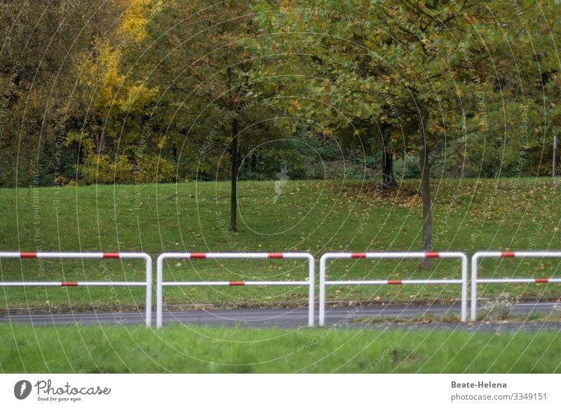 Ganz schön grün 2 Rasen Wald Gras Absperrung