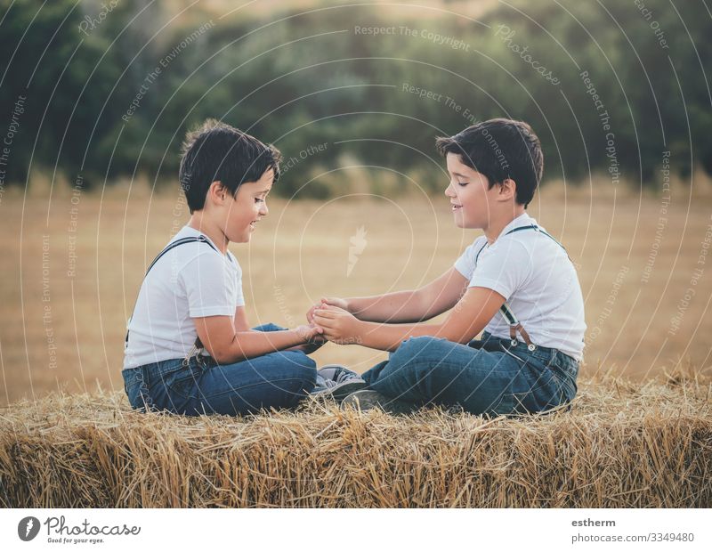 Brüder, die auf dem Weizenfeld spielen Lifestyle Freude Spielen Sommer Mensch maskulin Kind Geschwister Bruder Familie & Verwandtschaft Freundschaft Kindheit 2