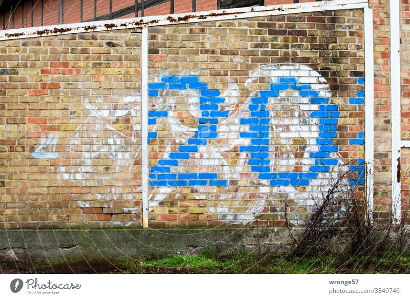 Blaue Ziffer 20 auf Ziegelmauer Ziffern & Zahlen Farbfoto Menschenleer Außenaufnahme Wand Mauer Textfreiraum links Ziegelmauerwerk Hauswand Hausnummer blau