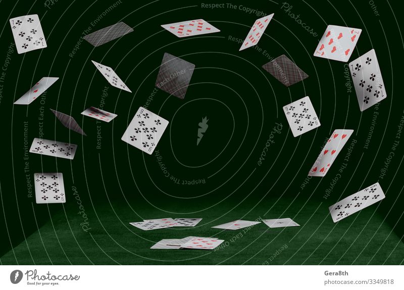 Spielkarten fallen auf einen grünen Tisch Spielen Glücksspiel Tier Anzug Haustier Katze Herz fliegen dunkel rot schwarz Clubs Händler Diamanten Spaten Trumpf