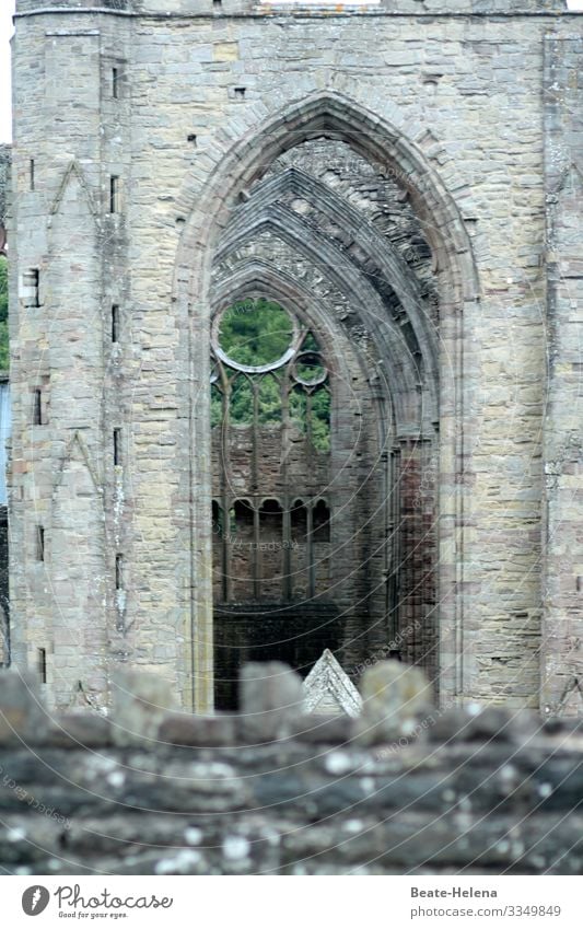 Zum Staunen 2: Kirchengerippe in Wales Kirchenportal Gerippe malerisch durchsichtig Natur im Freien Landschaft grün historisch