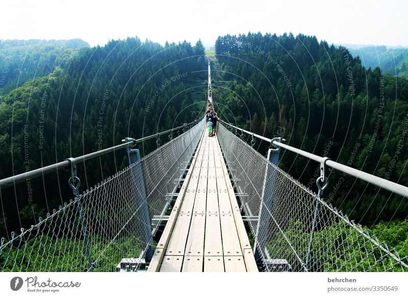 lang ist der weg und beschwerlich... Hängebrücke Geierlay Landschaft Natur Wald Abenteuer gefährlich Höhenangst weite fantastisch Deutschland Bäume Brücke
