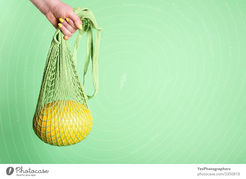 Honigmelone hängt in einer Netz-Einkaufstasche Frucht Dessert Ernährung Frühstück Bioprodukte kaufen Gesunde Ernährung grün Früchte kaufen farbenfroh
