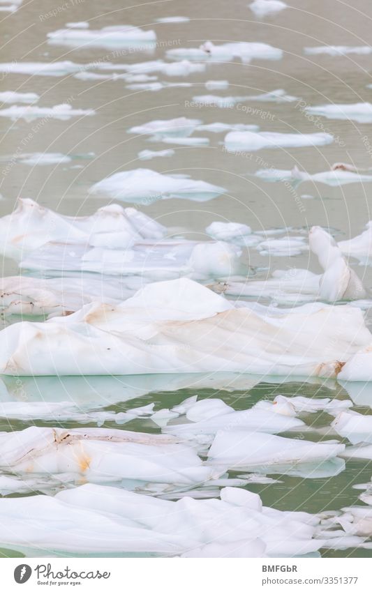 Eisschollen im Wasser Umwelt Natur Landschaft Pflanze Klima Klimawandel Wetter schlechtes Wetter Unwetter Frost Küste Meer See Bach Zukunftsangst gefährlich