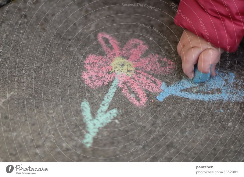 Kinderhand malt Blume mit Straßenkreide auf Asphalt Freizeit & Hobby Spielen zeichnen Kreide straßenkreide Handy Kleinkind Kindheit malen blau rot grün Freude