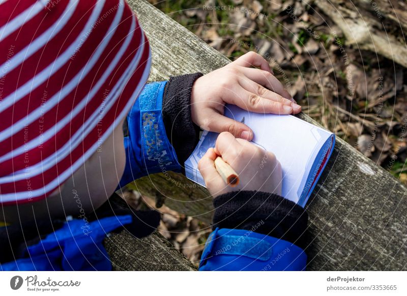 Eifriges Schreiben Schwache Tiefenschärfe Textfreiraum unten Außenaufnahme Farbfoto Kind Kindheit Kindheitserinnerung schreiben malen Kindergarten
